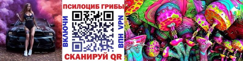 даркнет сайт Иваново Псилоцибиновые грибы Psilocybe